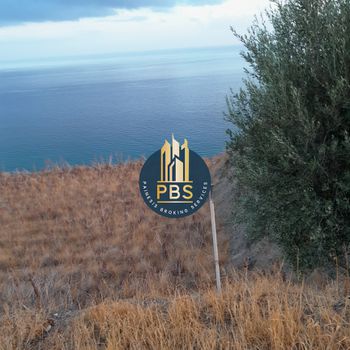 Οικόπεδο 8.500τ.μ. για πώληση-Βιαννός