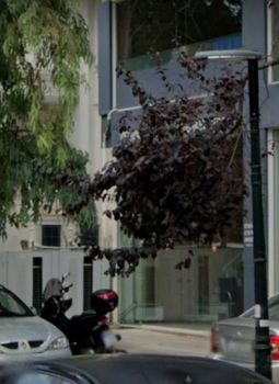Κατάστημα 245 τ.μ. για πώληση