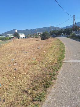 Land plot 800 sqm for sale