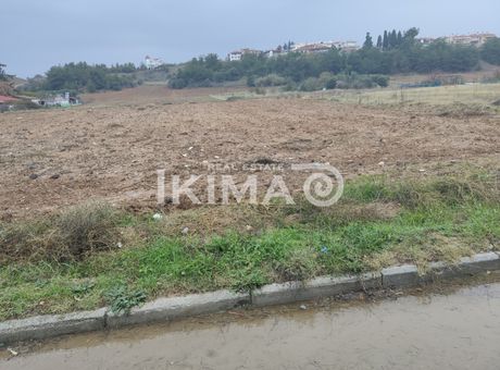 Αγροτεμάχια 4.500 τ.μ. για πώληση