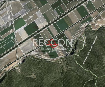 Parcel 20.000sqm for sale-Akraifnia » Akraifnio