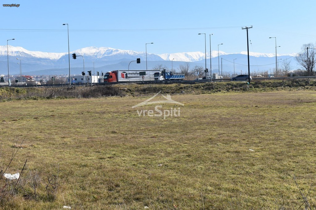 Αγροτεμάχια 6.500 τ.μ. προς ενοικίαση, Ν. Ιωαννίνων, Ιωάννινα