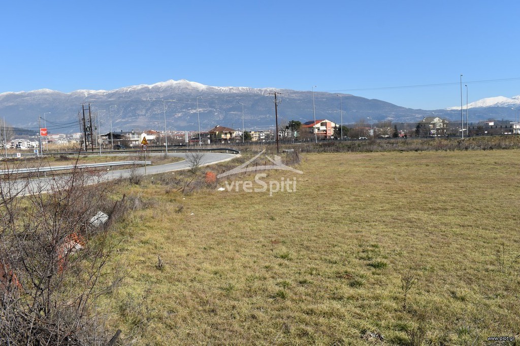 Αγροτεμάχια 6.500 τ.μ. προς ενοικίαση, Ν. Ιωαννίνων, Ιωάννινα