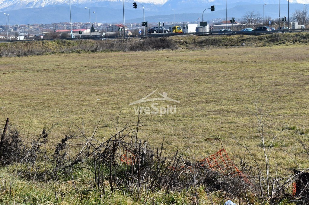 Αγροτεμάχια 6.500 τ.μ. προς ενοικίαση, Ν. Ιωαννίνων, Ιωάννινα