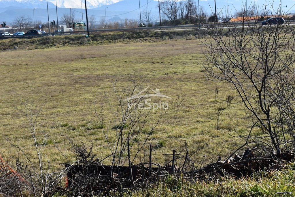 Αγροτεμάχια 6.500 τ.μ. προς ενοικίαση, Ν. Ιωαννίνων, Ιωάννινα
