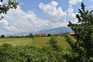 Αγροτεμάχια 4.600 τ.μ. για πώληση, Ν. Ιωαννίνων, Ιωάννινα-thumb-16