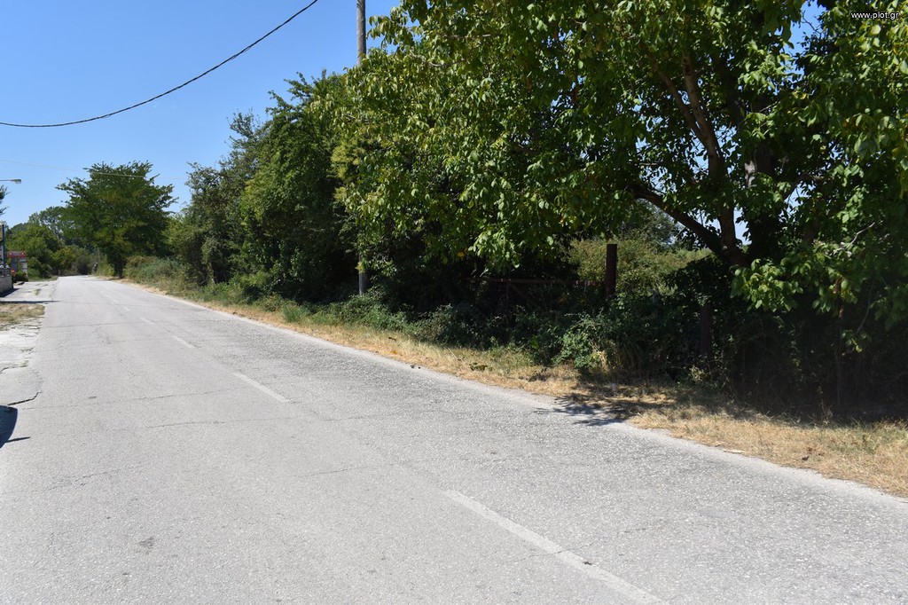 Αγροτεμάχια 5.900 τ.μ. προς πώληση, Κατσικάς
