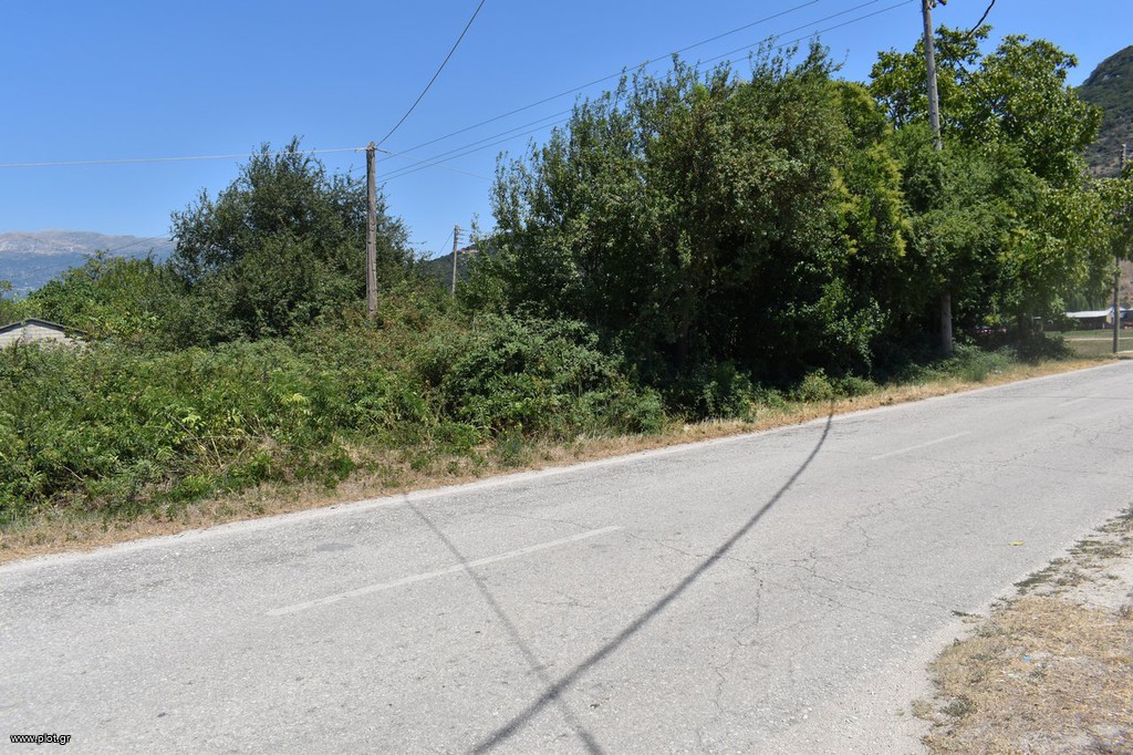 Αγροτεμάχια 5.900 τ.μ. προς πώληση, Κατσικάς
