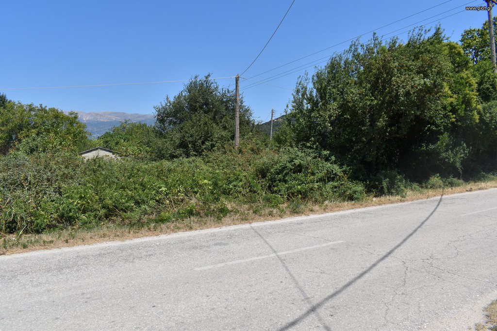 Αγροτεμάχια 5.900 τ.μ. προς πώληση, Κατσικάς