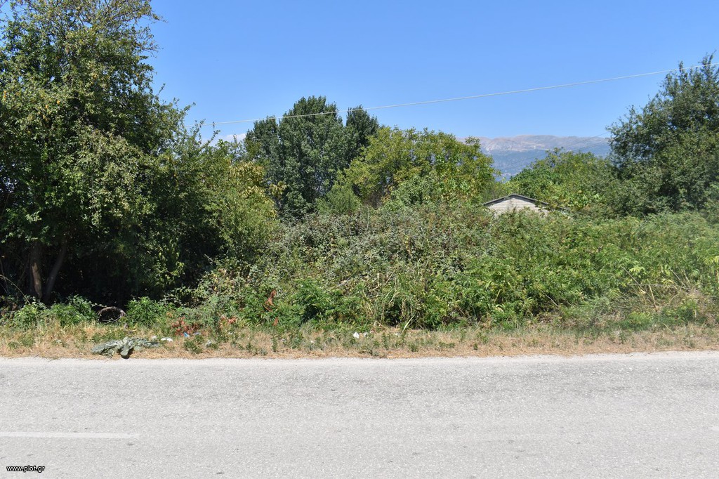 Αγροτεμάχια 5.900 τ.μ. προς πώληση, Κατσικάς