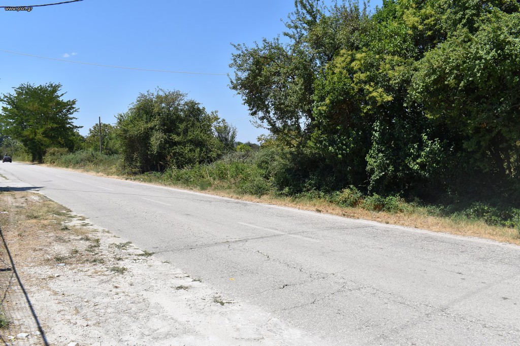 Αγροτεμάχια 5.900 τ.μ. προς πώληση, Κατσικάς