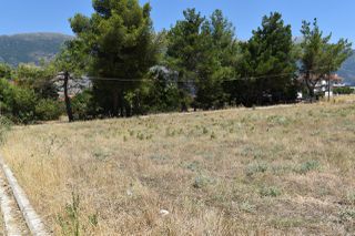 Οικόπεδο 734 τ.μ. για πώληση, Ν. Ιωαννίνων, Πασσαρώνα-thumb-11
