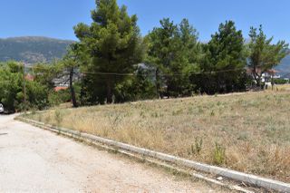 Οικόπεδο 734 τ.μ. για πώληση, Ν. Ιωαννίνων, Πασσαρώνα-thumb-13