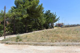Οικόπεδο 734 τ.μ. για πώληση, Ν. Ιωαννίνων, Πασσαρώνα-thumb-18