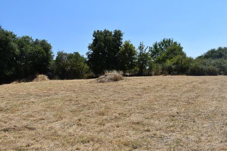 Άλλο 4.282 τ.μ. για πώληση