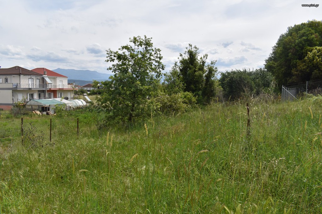 Οικόπεδο 616 τ.μ. πρός πώληση, Ν. Ιωαννίνων, Μπιζάνιο