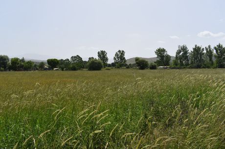 Other 9.800sqm for sale-Ioannina