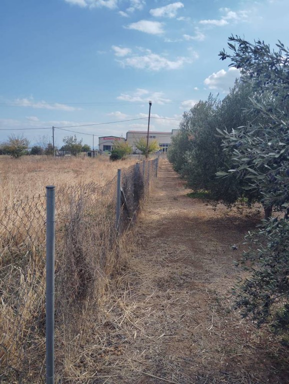 Οικόπεδο 8.070 τ.μ. πρός πώληση, Κορινθία, Σικυώνα