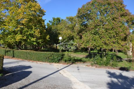 Business bulding 1.340sqm for sale-Ioannina