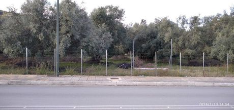 Land plot 2.960sqm for rent-Lefkada