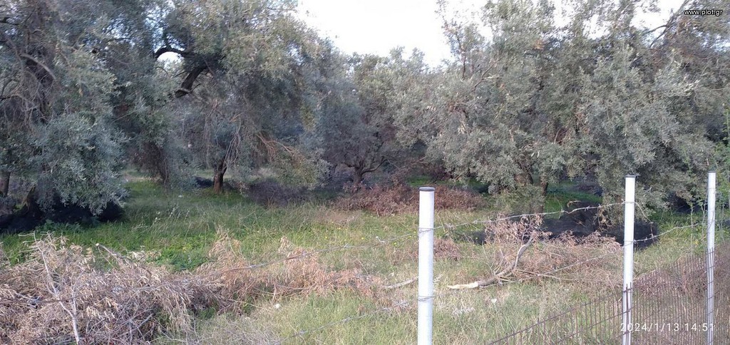 Οικόπεδο 2.960 τ.μ. πρός ενοικίαση, Ν. Λευκάδας, Λευκάδα