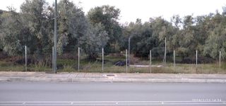 Οικόπεδο 2.960 τ.μ. για ενοικίαση, Ν. Λευκάδας, Λευκάδα-thumb-6