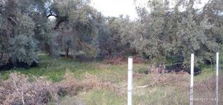 Οικόπεδο 2.960 τ.μ. για ενοικίαση, Ν. Λευκάδας, Λευκάδα-thumb-9