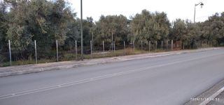 Οικόπεδο 2.960 τ.μ. για ενοικίαση, Ν. Λευκάδας, Λευκάδα-thumb-10