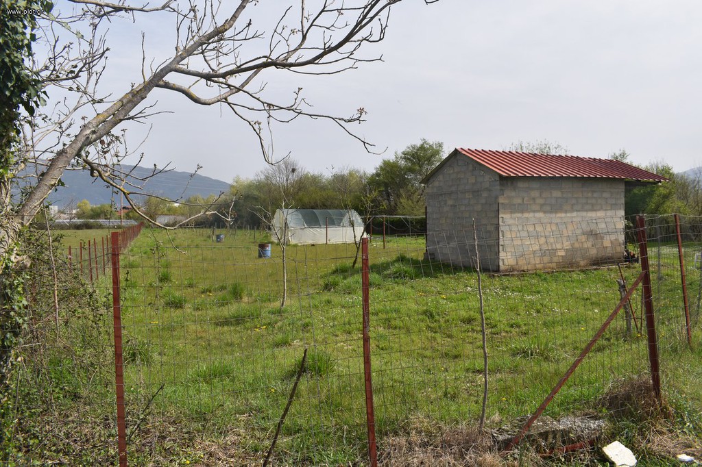 Αγροτεμάχια 2.500 τ.μ. προς πώληση, Μπιζάνιο