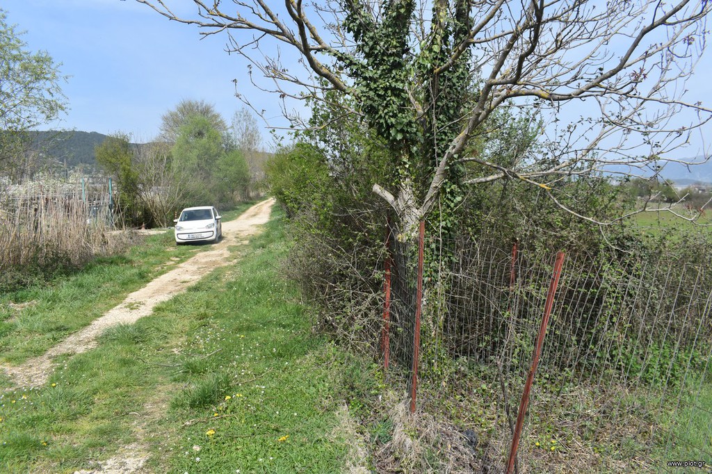 Αγροτεμάχια 2.500 τ.μ. προς πώληση, Μπιζάνιο