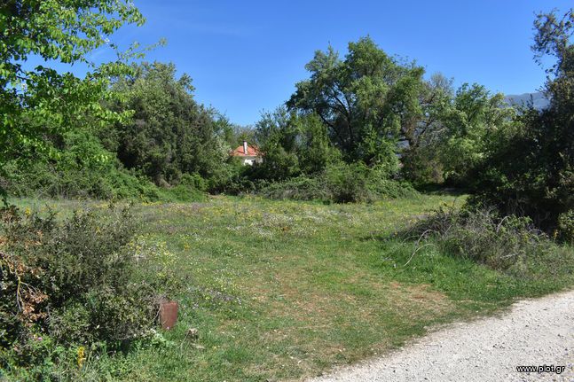 Οικόπεδο 4.055 τ.μ. για πώληση, Ν. Ιωαννίνων, Ιωάννινα