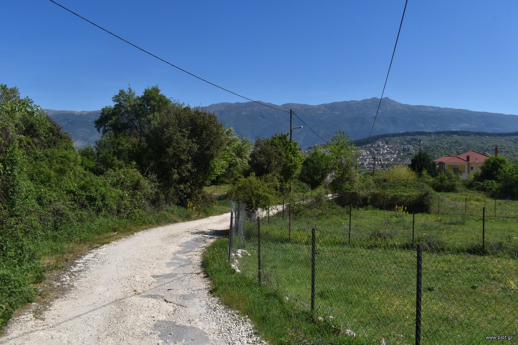 Οικόπεδο 4.055 τ.μ. πρός πώληση, Ν. Ιωαννίνων, Ιωάννινα