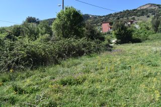 Οικόπεδο 4.055 τ.μ. για πώληση, Ν. Ιωαννίνων, Ιωάννινα-thumb-38