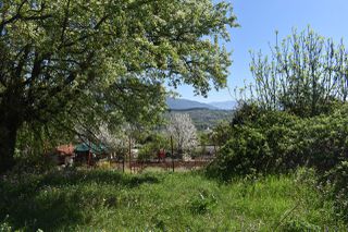 Οικόπεδο 4.055 τ.μ. για πώληση, Ν. Ιωαννίνων, Ιωάννινα-thumb-43