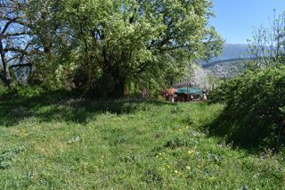 Οικόπεδο 4.055 τ.μ. για πώληση, Ν. Ιωαννίνων, Ιωάννινα-thumb-13