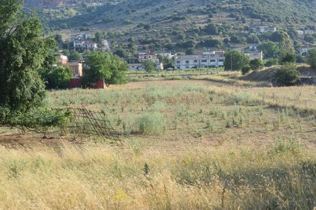 Other 9.000sqm for sale-Ioannina