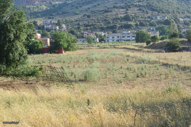 Άλλο 9.000 τ.μ. για πώληση, Ν. Ιωαννίνων, Ιωάννινα