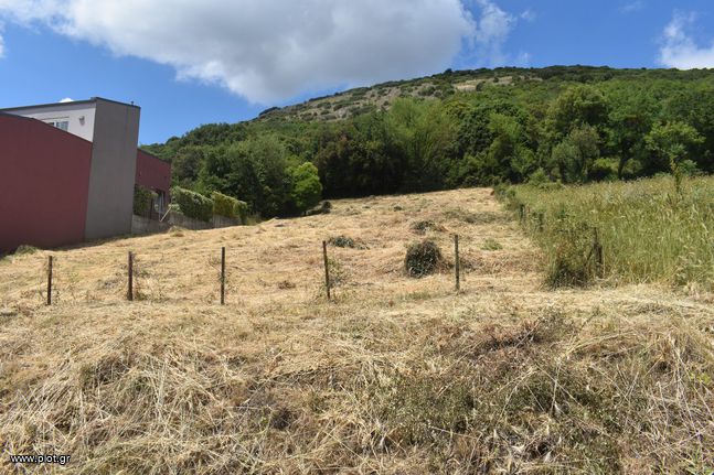 Οικόπεδο 1.165 τ.μ. για πώληση, Ν. Ιωαννίνων, Ιωάννινα