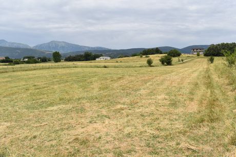 Other 5.000sqm for sale-Ioannina