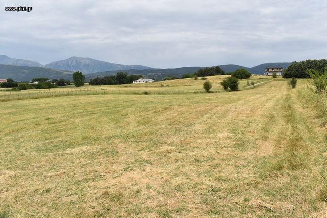 Άλλο 5.000 τ.μ. για πώληση, Ν. Ιωαννίνων, Ιωάννινα