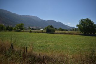 Αγροτεμάχια 5.121 τ.μ. για πώληση, Ν. Ιωαννίνων, Πέραμα-thumb-8