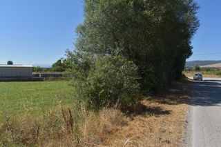 Αγροτεμάχια 5.121 τ.μ. για πώληση, Ν. Ιωαννίνων, Πέραμα-thumb-10