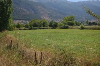 Αγροτεμάχια 5.121 τ.μ. για πώληση, Ν. Ιωαννίνων, Πέραμα-thumb-12