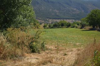 Αγροτεμάχια 5.121 τ.μ. για πώληση, Ν. Ιωαννίνων, Πέραμα-thumb-15
