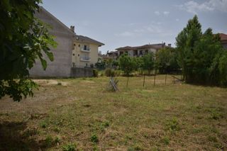 Οικόπεδο 1.462 τ.μ. για πώληση, Ν. Ιωαννίνων, Ανατολή-thumb-6