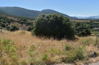Οικόπεδο 1.006 τ.μ. για πώληση, Ν. Ιωαννίνων, Πέραμα-thumb-9