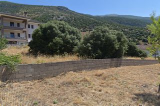 Οικόπεδο 1.006 τ.μ. για πώληση, Ν. Ιωαννίνων, Πέραμα-thumb-18