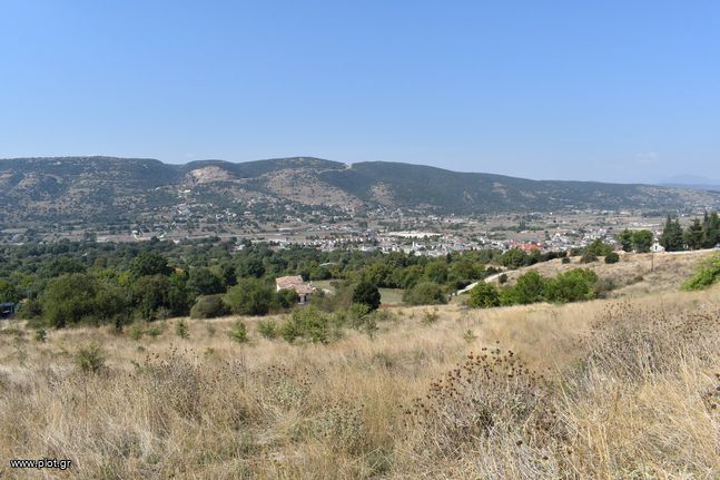 Άλλο 4.753 τ.μ. για πώληση, Ν. Ιωαννίνων, Ιωάννινα