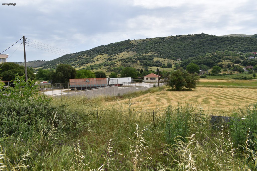 Αγροτεμάχια 6.679 τ.μ. προς ενοικίαση, Ν. Ιωαννίνων, Ιωάννινα