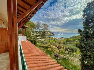 Ξενοδοχείο 384 τ.μ. για πώληση, Ν. Χίου, Χίος-thumb-12